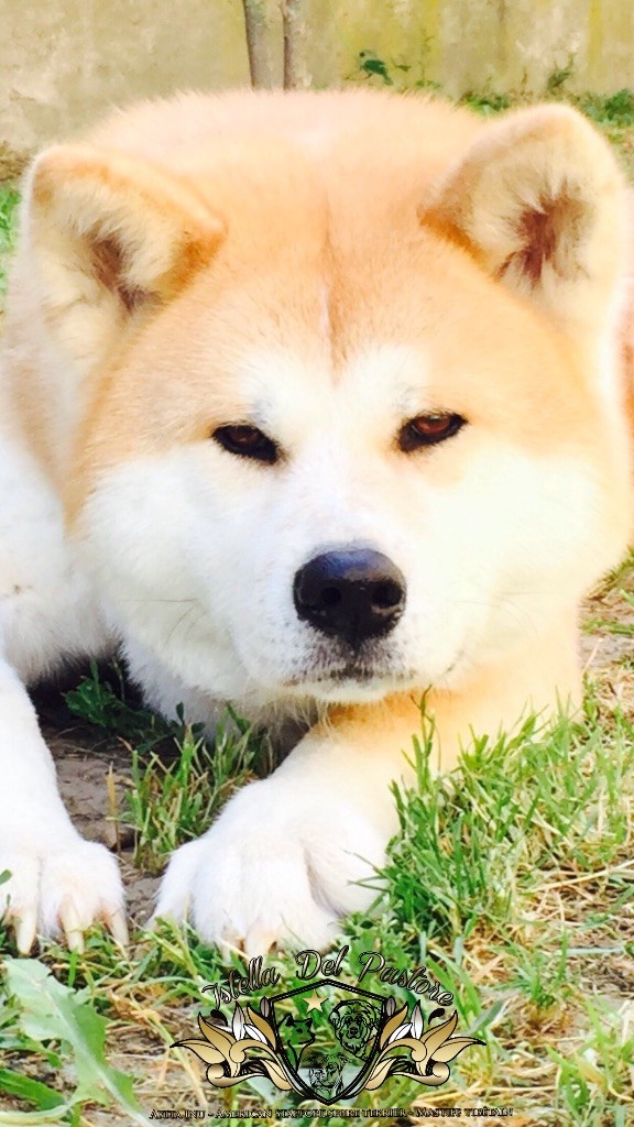 Itsuki (Sans Affixe)